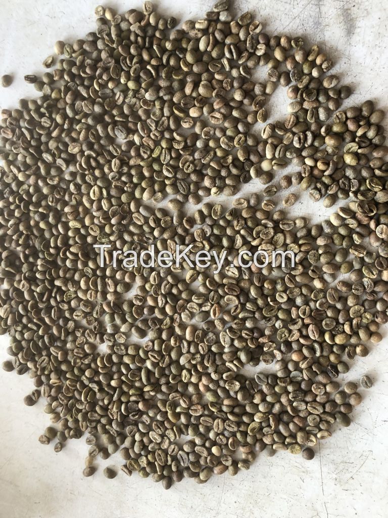 Robusta Coffee Beans S18 cleaned Vietnam Origin new crop good quality