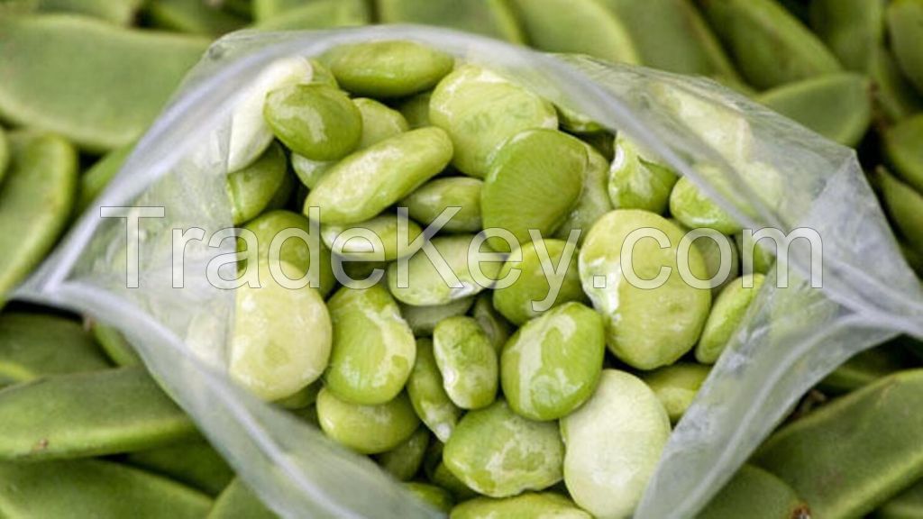 Best Quality Beans-Large white lima Beans