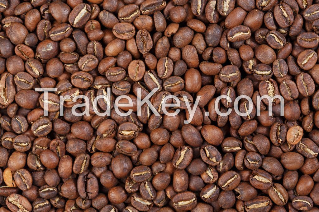 Coffee Beans Arabica Specialty Coffee From Family Farming Made in South Africa Coffee Beans in 30 kg Bags