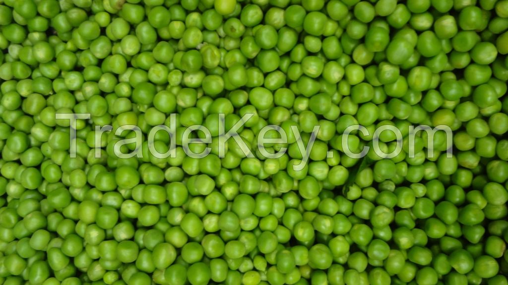 Healthy Natural Delicious Good High Quality And Hot Selling Dry Pigeon Peas From South Africa In Bulk
