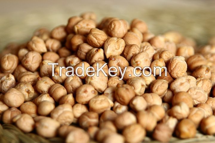 Cheap Non-gmo Certified Chickpeas Wholesale Organic Chick Pea with Good Price