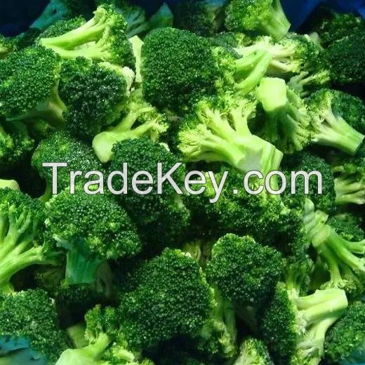 Fresh Vegetables Supply New Harvest BRC Certified IQF Frozen Broccoli