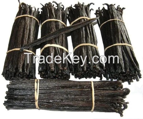 Hot selling South African vanilla beans, vanilla beans kg, vanilla beans with best price