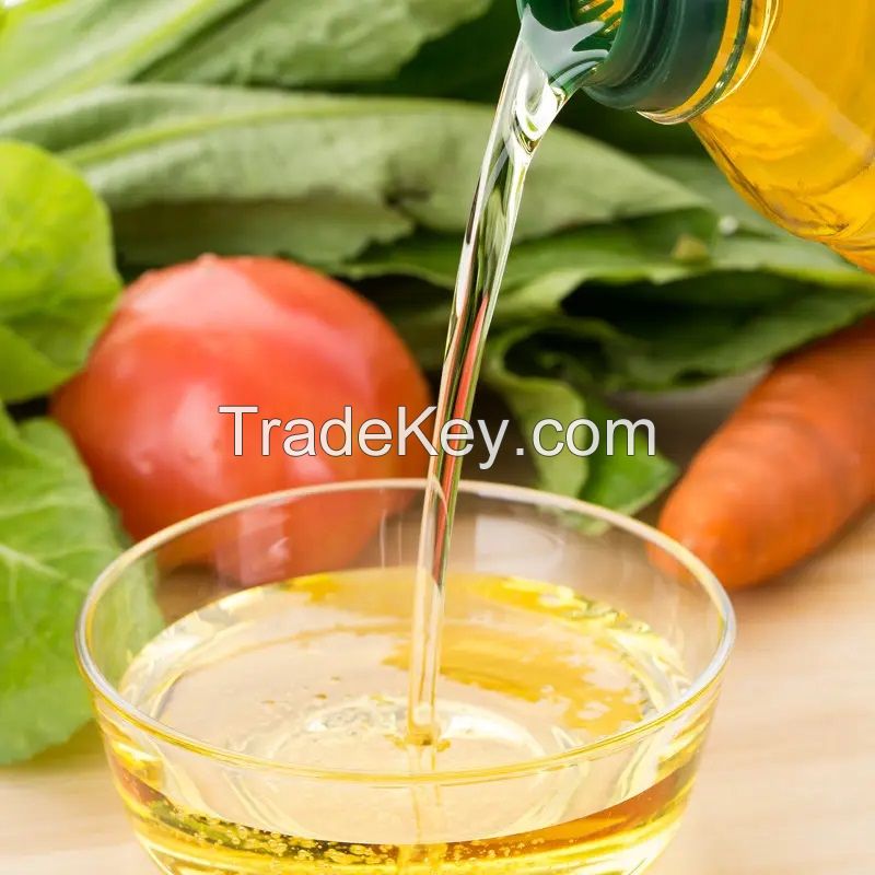 Bulk Cold Pressed Pure Tea Seed Oil Organic Camellia Oil for Skin care Massage bodycare