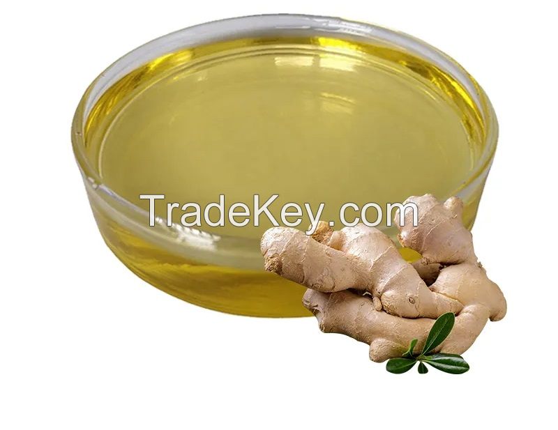 Cheap Price Wholesale 100% Pure Organic Natural Ginger Massage Essential Oil For Slimming