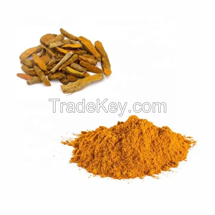 Pure Turmeric Extract 95% Curcumin Powder Food Additives