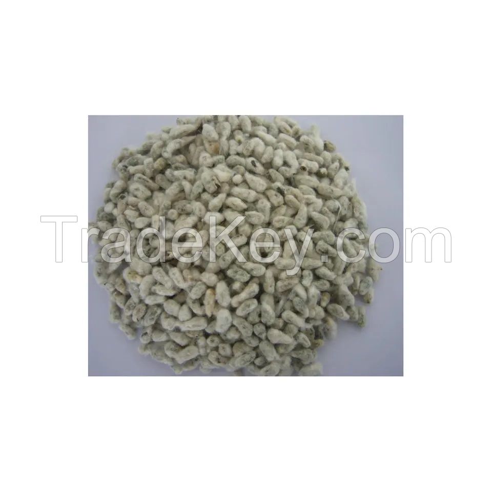 High quality Organic Cotton Seed for sale