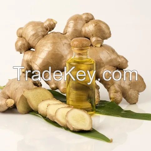 Pure Organic Ginger Oil Wholesale OEM Organic Ginger Essential Oil