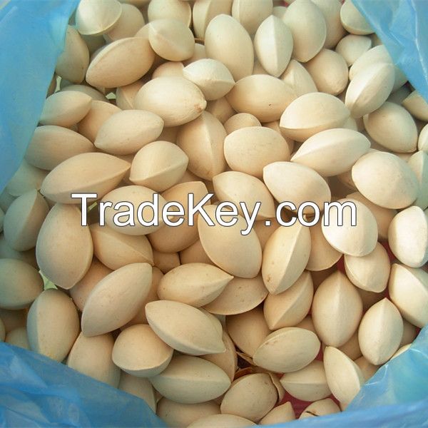 Bulk Stock Available Of Dried Ginkgo Nuts At Wholesale Prices