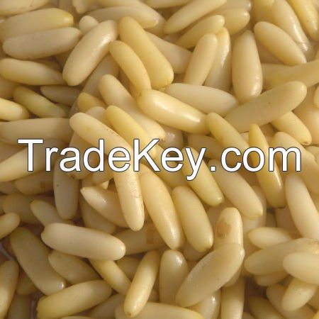 Selling Wholesale Fresh Pine Nuts / Dried Pine Nuts