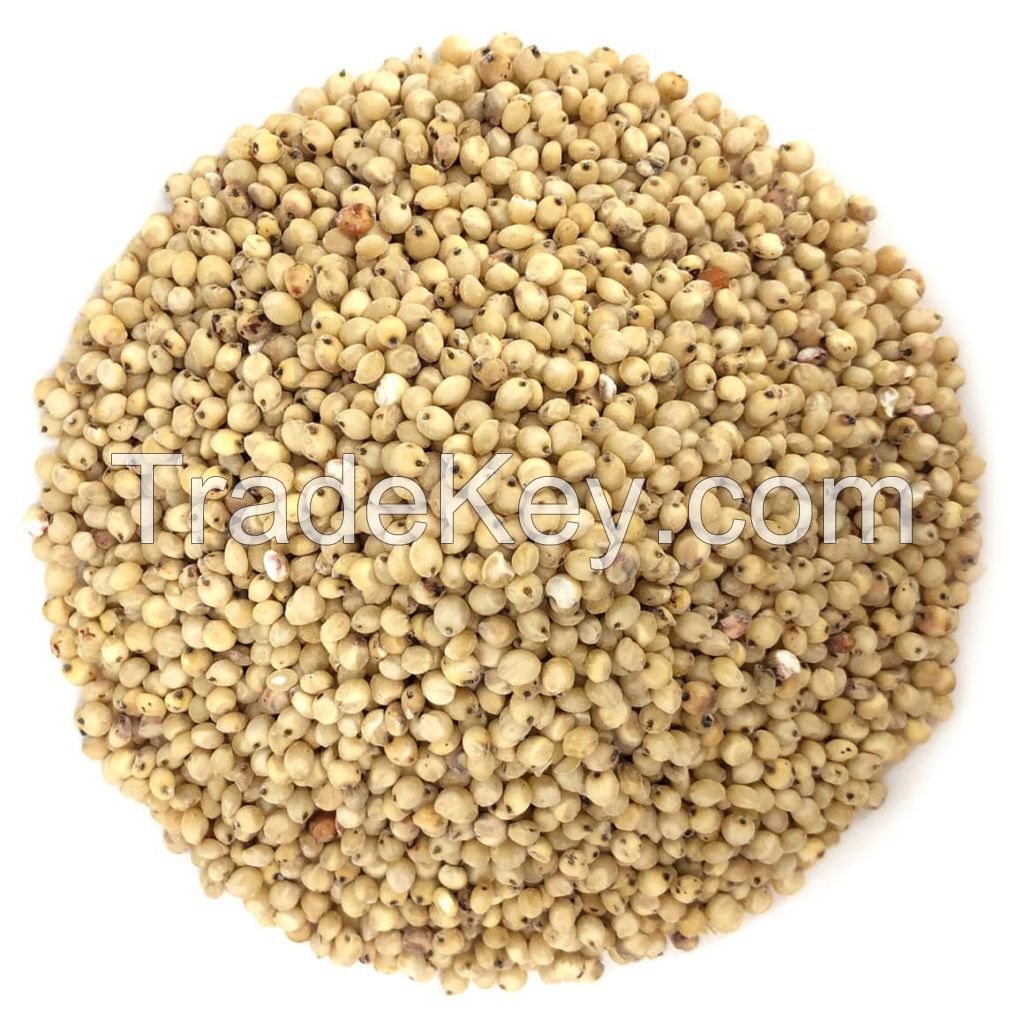 Red and white Sorghum in bulk sale