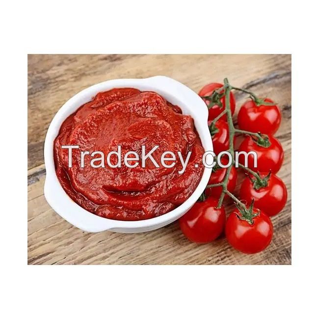 Canned Tomato Paste / Tomato Ketchup/ Ketchup Pasta