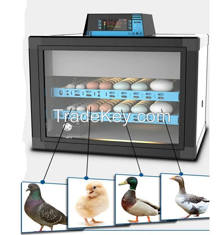 CY-160 chicken duck goose quail eggs incubator machine automatic cheap egg incubators hatcher automatic ostrich egg incubators