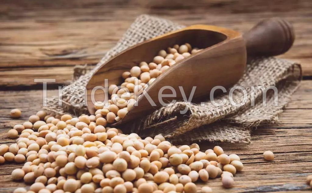 Sell Offer Soybeans