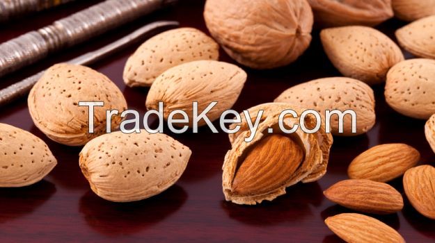 Bulk Wholesale Organic Almonds Nuts at Competitive Prices