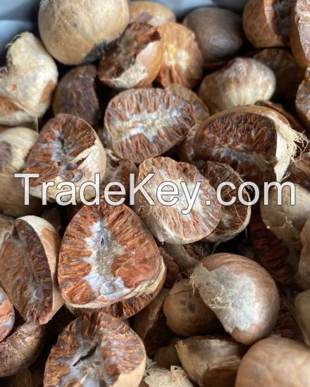 Betel Nut Brown Color Dried Best Selling 100 % Natural High Quality Premium Grade Of Betel Nut Supply