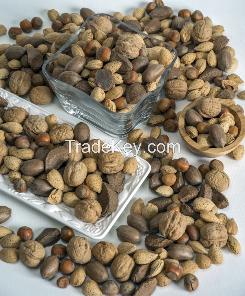 High End Fresh Crop Bulk Cheap Prices Protein And Essential Amino Acids Brazil Pine Nuts For All Age Group