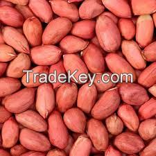 Peanut Wholesale Jumbo Peanuts 100% Natural Peanut Kernels Cheap Unshell Raw Peanuts