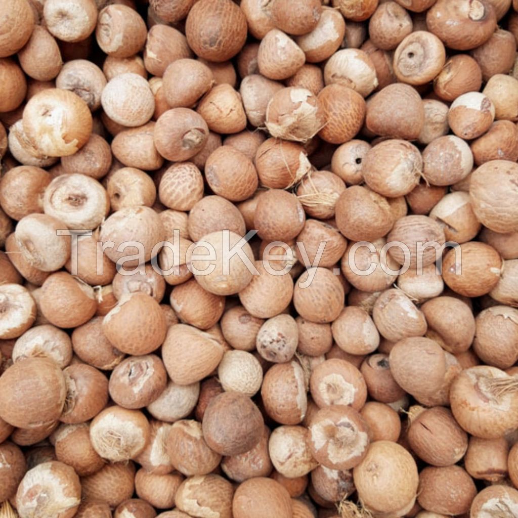 Hot sales EXPORTING DRIED BETEL NUT Split Lalee Betel Nuts WITH THE BEST PRICE