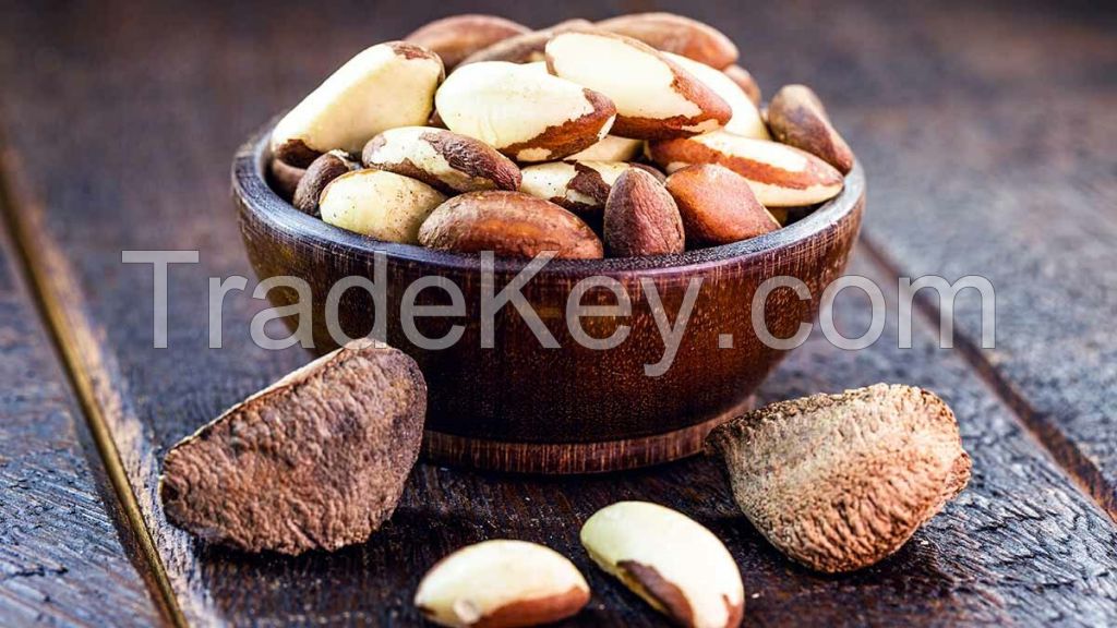 Brazil Nuts Natural Raw Nuts Shelled Mix with Medium Large and Extra Large Sizes Roasted Nuts Edible