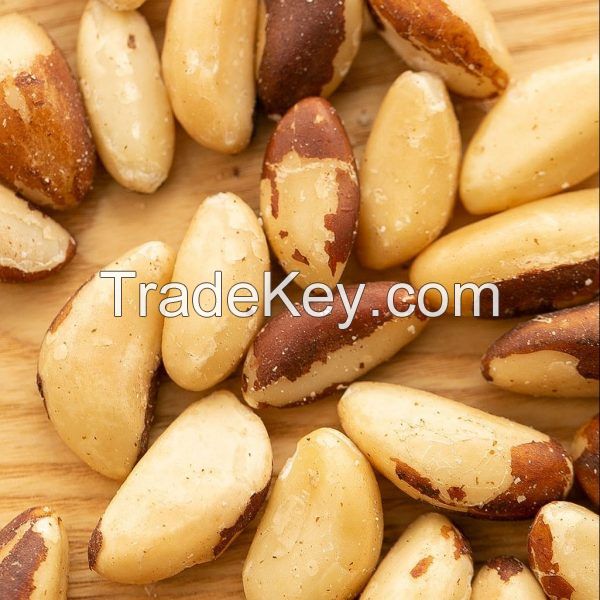 Buy Organic Raw l Nuts / Brazil Nuts Wholesale Brazil Nuts at Affordable Competitive Market Prices from Top Ranking Suppliers