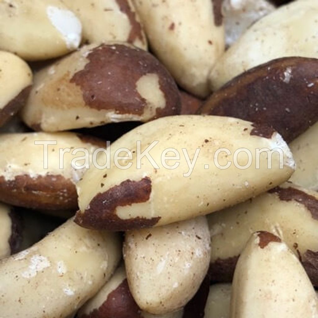 Wholesale Price Raw and Roasted Cheap Price Brazil Nuts