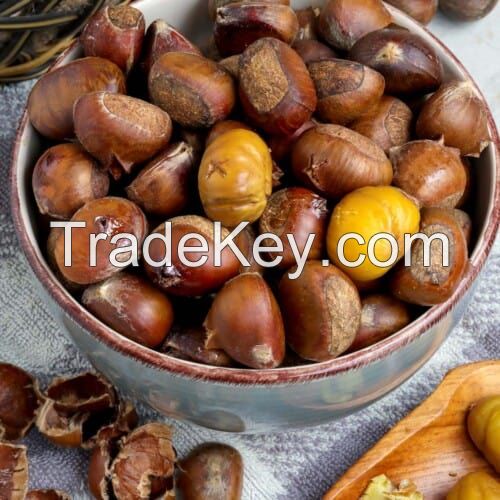 chestnuts snack roasted chestnut Fresh new chest nuts for sale