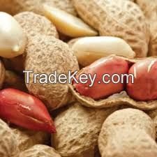 Wholesale Packaging Jumbo Peanuts