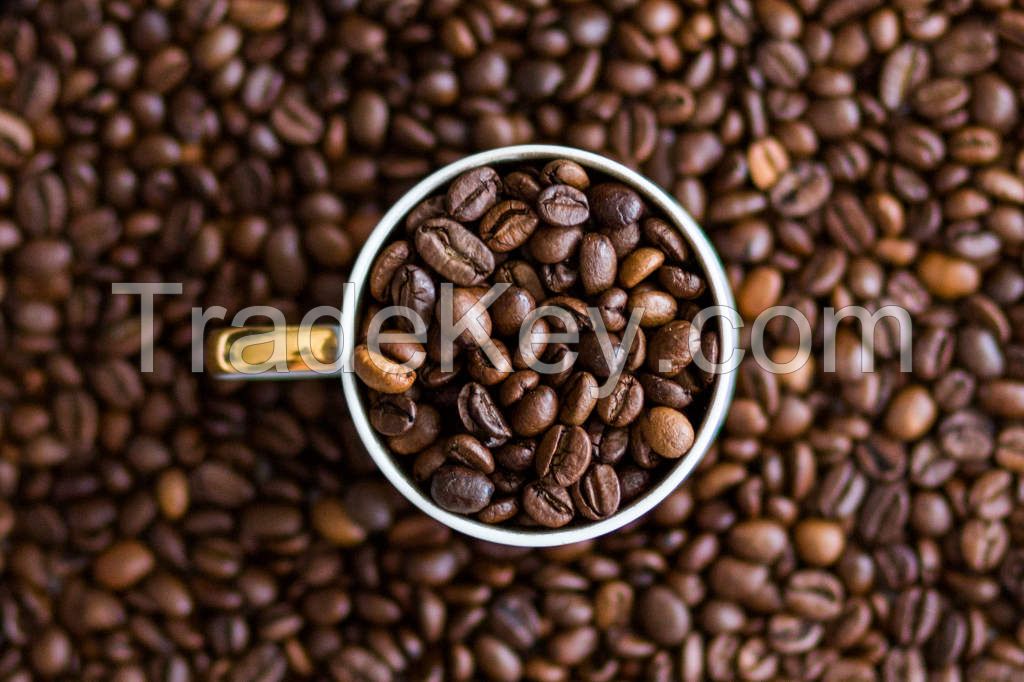 Hot Selling Ethiopian Arabica And Robusta Green Coffee Beans