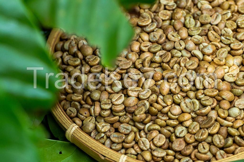 Vietnam robusta coffee bean export to EU, Korea, USA High Quality Low Price Wholesale for roasted / green coffee beans