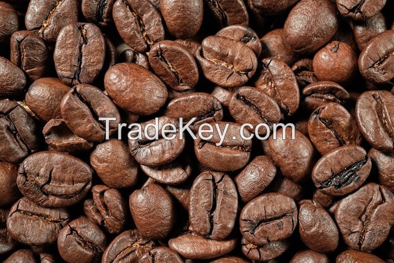 Vietnam High quality arabica / robusta coffee bean Green Coffee Roasted Coffee beans for sale