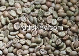 Great Price Oem High Quality Coffee 100% Organic Robusta Coffee Beans Roasted coffee Beans For Drinking