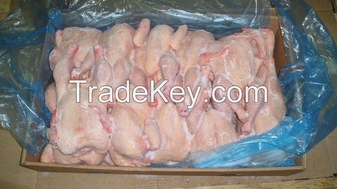 Popular factory Processed frozen chicken