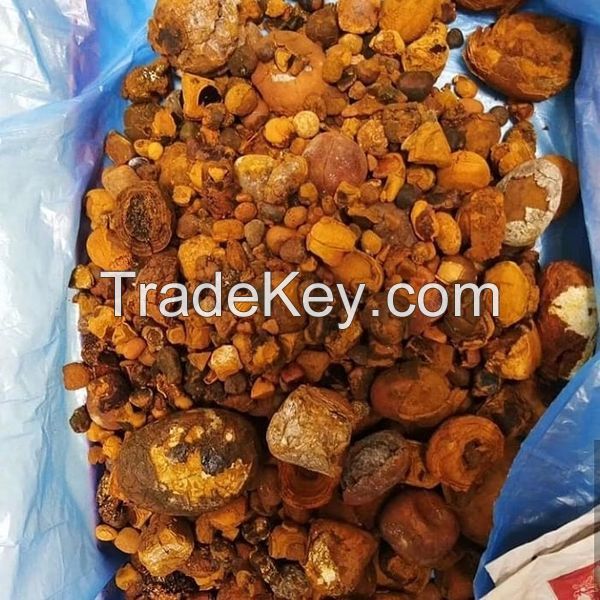 Quality Dried Cow Ox Gallstones