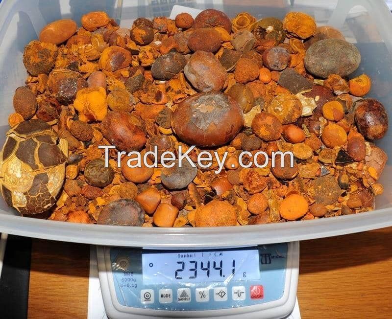 Wholesale Grade A Ox Gallstones / ..