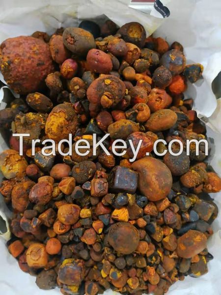 Ox/Cow Gallstones