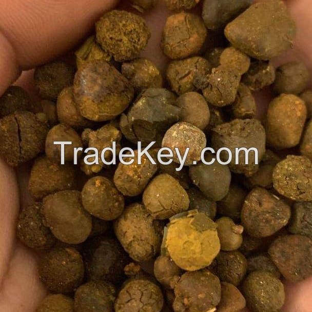 Wholesale Grade A Ox Gallstones / ..