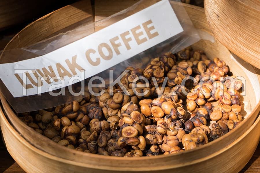 Toraja Coffee Beans