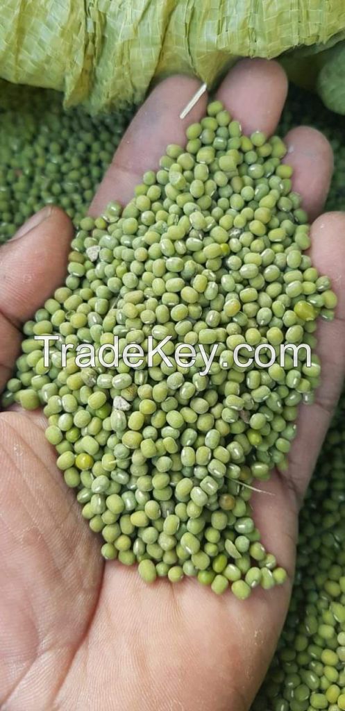 Pure Organic Green Mung Beans