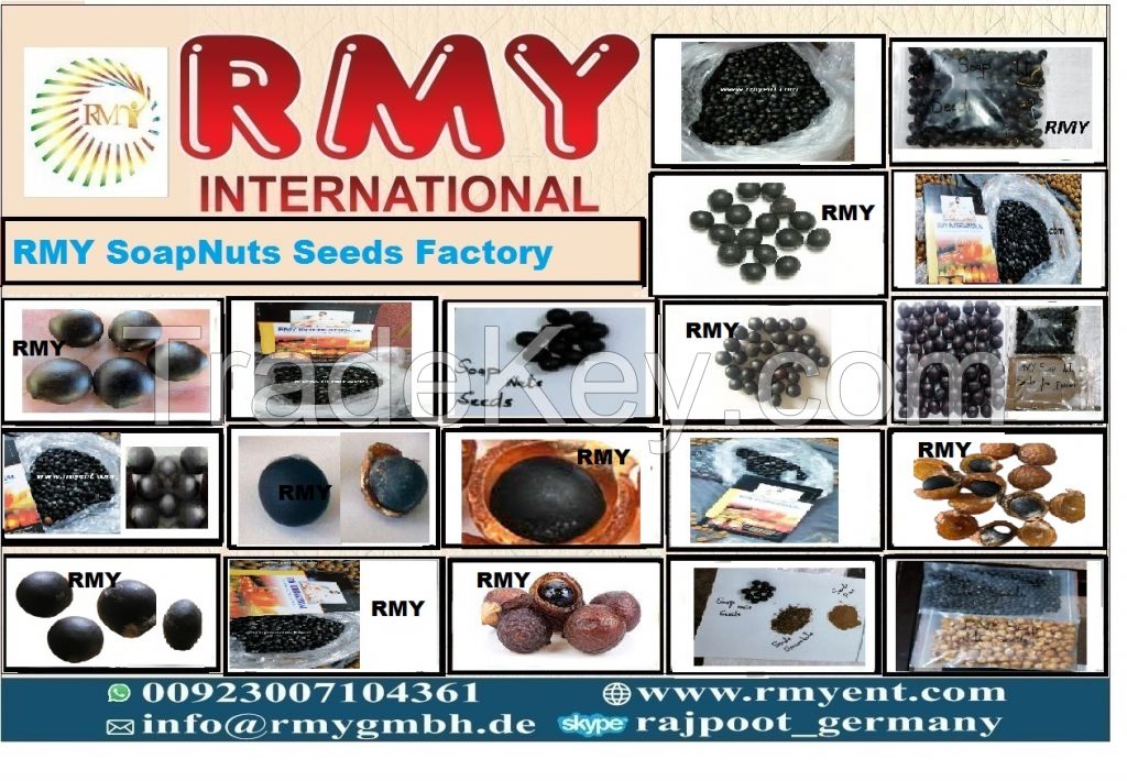 soap nuts seeds/shells/powder