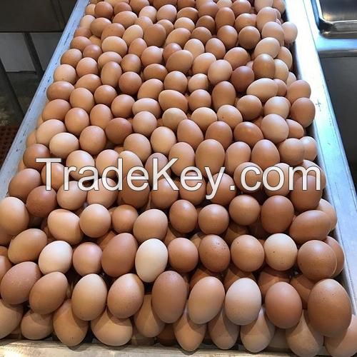 Sell Offer Chicken Eggs