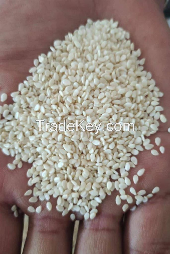 2, 000 mt per month 100% natural sesame seeds with high pecentage of oil