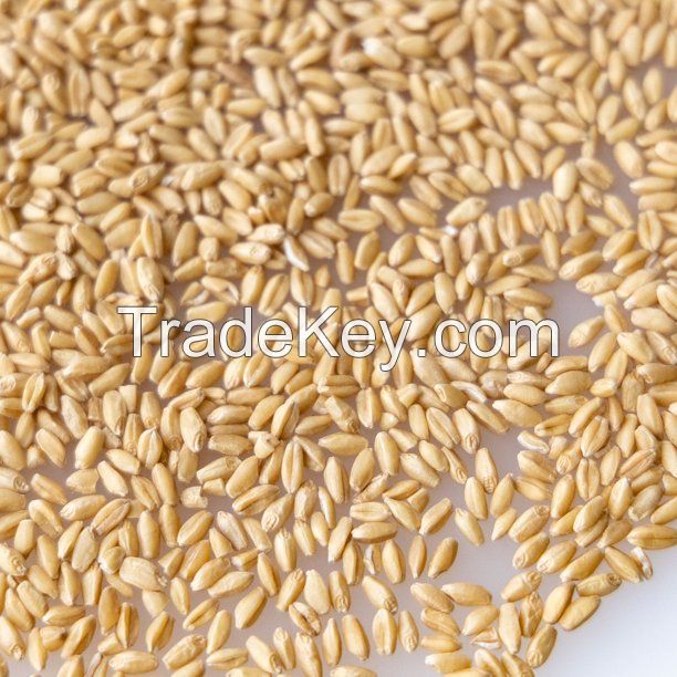 Wholesale Good Quality At Factory Price Golden Wheat Straw Products
