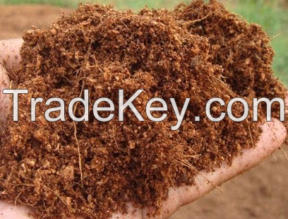 Sell Offer Cocopeat