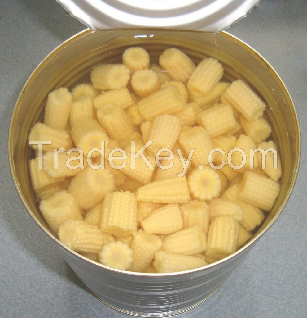 Canned Baby Corn Cut in Brine