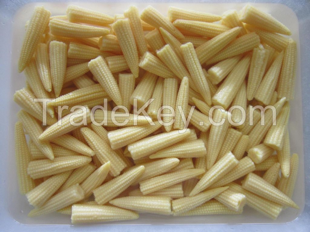 Canned Baby Corn in Brine