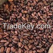 Premium Quality Cocoa Beans