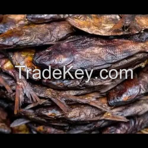 Dried Bonga Fish