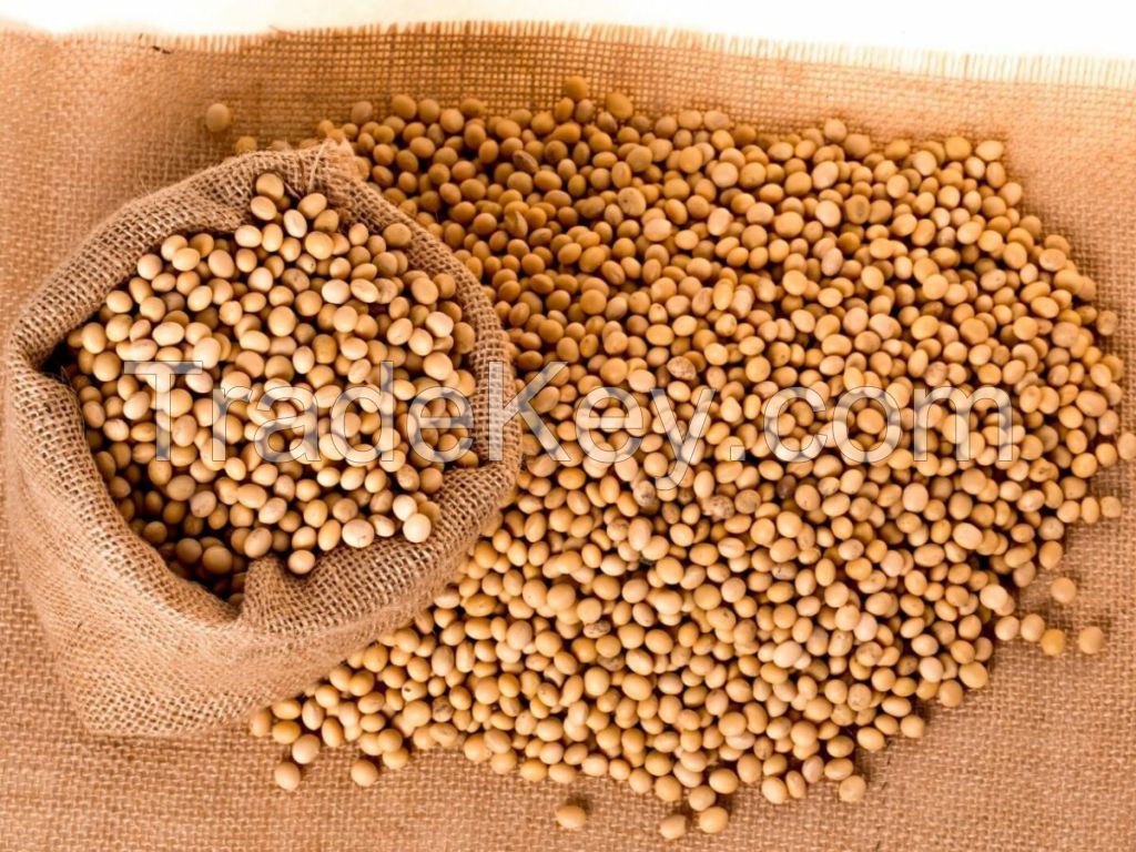 Soybean Raw