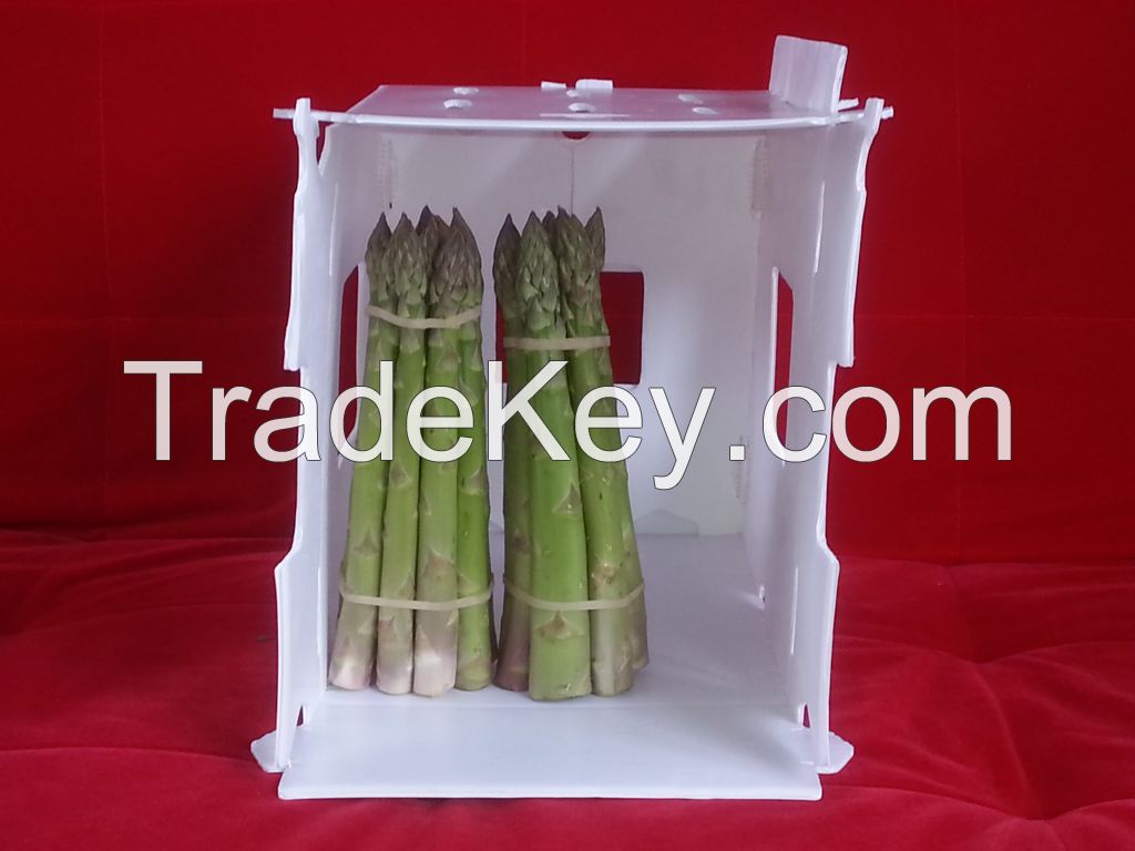 sell fresh green asparagus